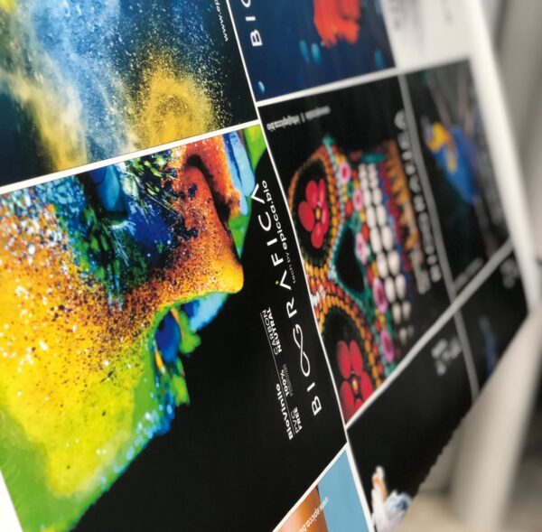 BioVinyls - Image 2